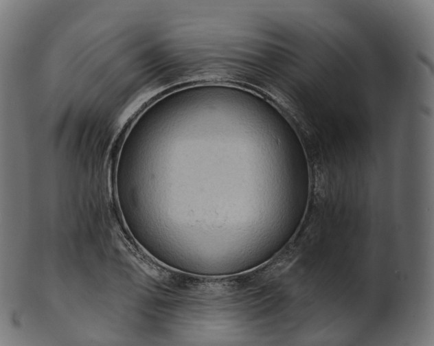 X0000101121078200807031758
