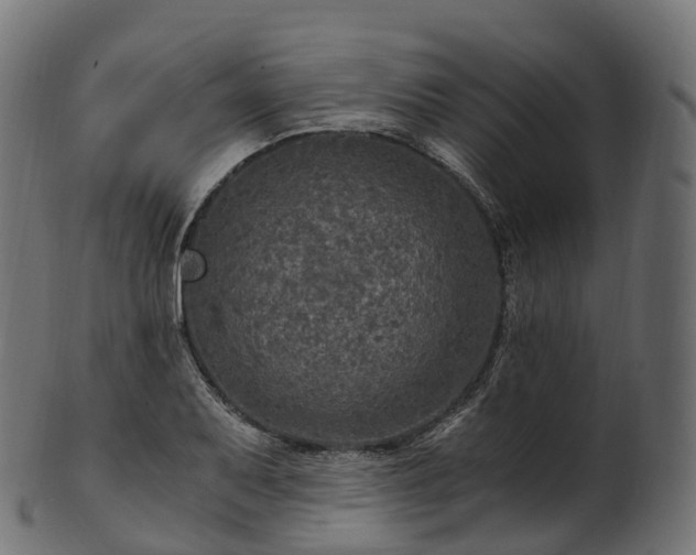 X0000101121079200807031758