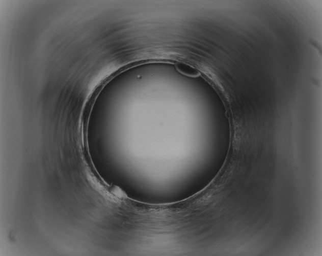 X0000101121080200807031758