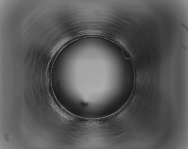 X0000101121082200807031758