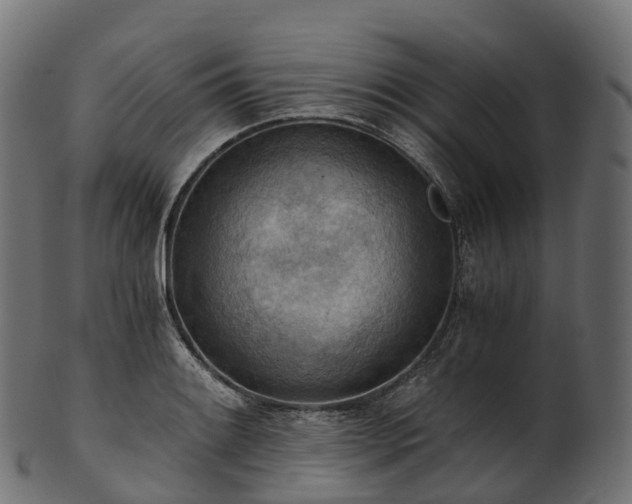 X0000101121084200807031758