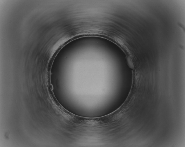 X0000101121085200807031758
