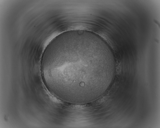 X0000101121086200807031758