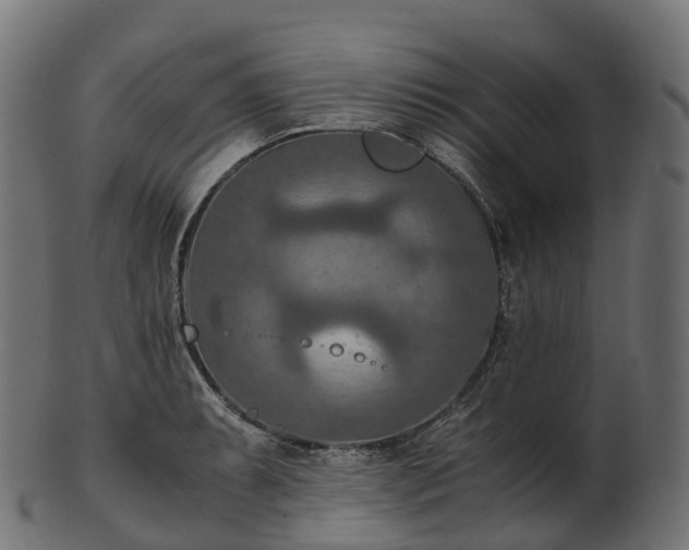 X0000101121087200807031758