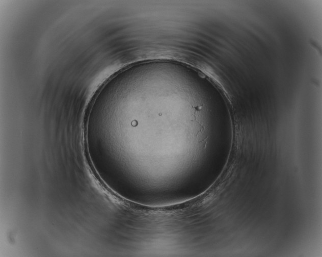 X0000101121088200807031758
