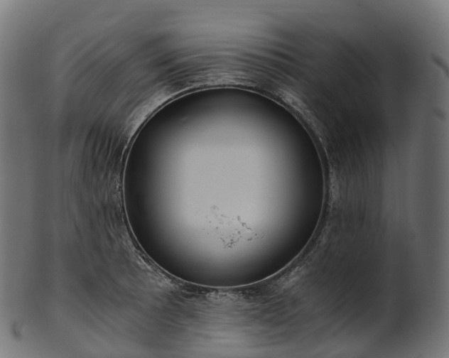 X0000101121089200807031758