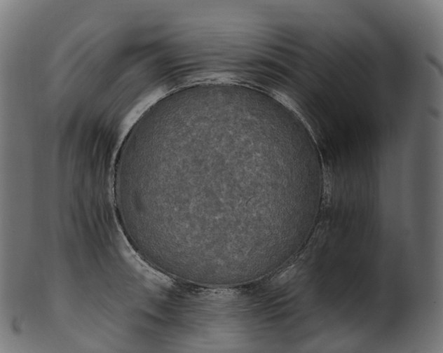 X0000101121090200807031758