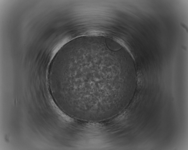 X0000101121091200807031758