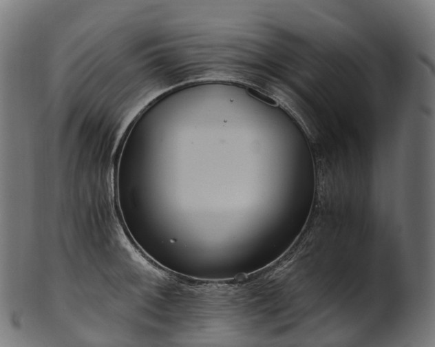 X0000101121092200807031758