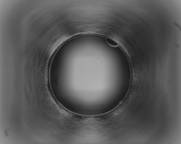X0000101121093200807031758