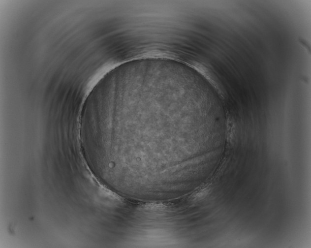 X0000101121094200807031758