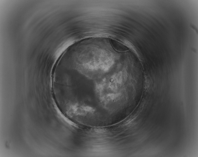 X0000101121095200807031758