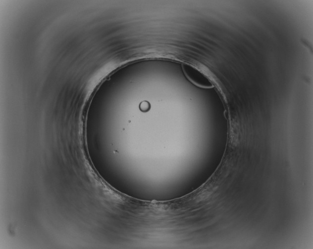 X0000101121096200807031758