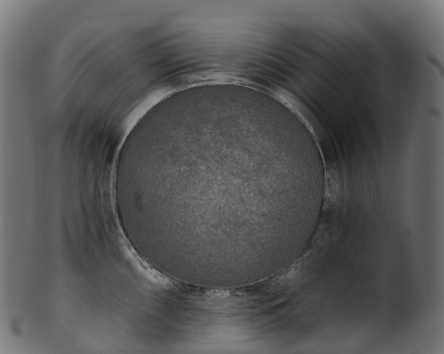 X0000101121098200807031758