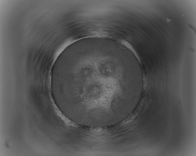 X0000101121099200807031758