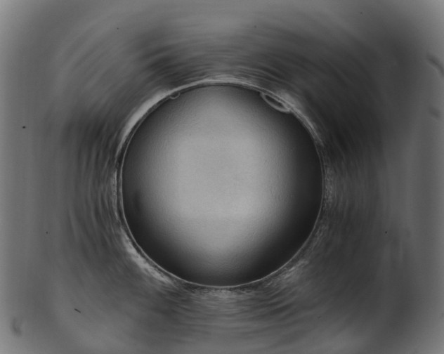 X0000101121100200807031758
