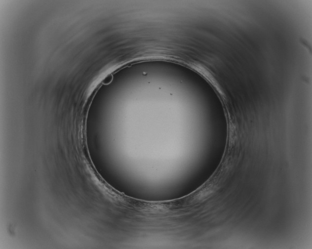 X0000101121101200807031758