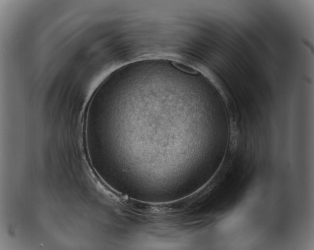 X0000101121102200807031758