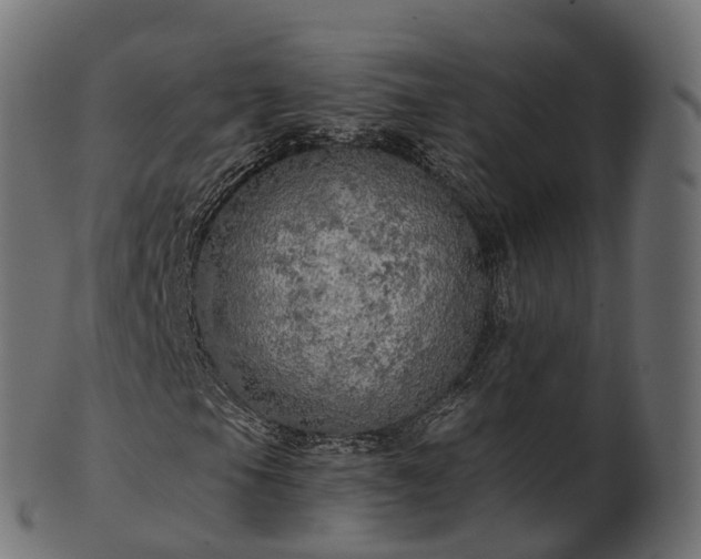 X0000101121105200807031757