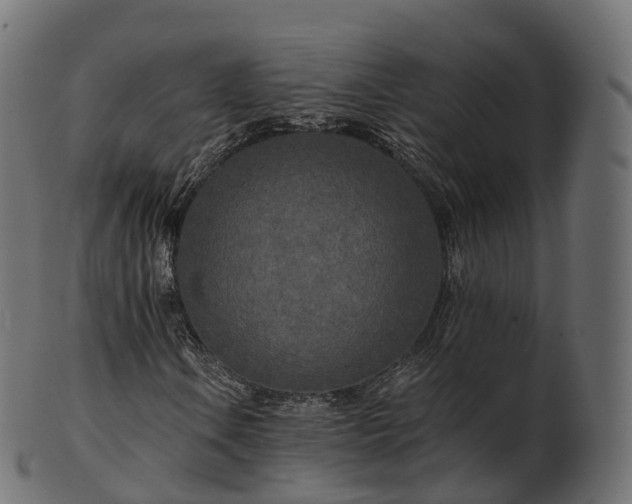 X0000101121106200807031757