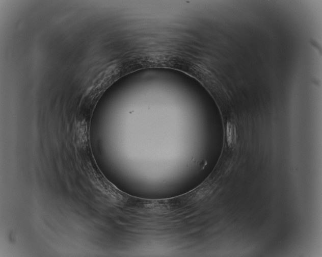 X0000101121107200807031757