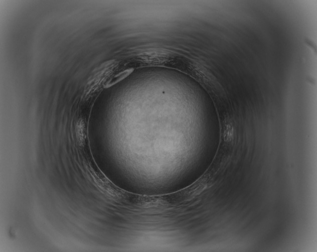 X0000101121108200807031757