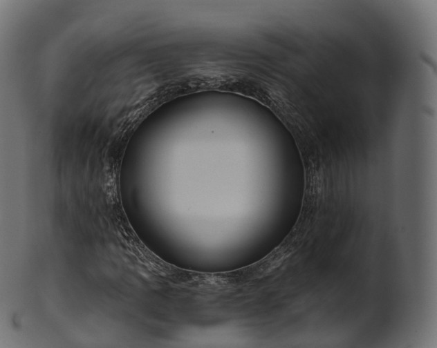 X0000101121109200807031757