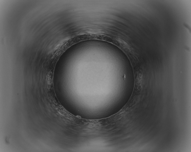 X0000101121110200807031757