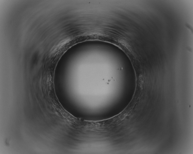 X0000101121111200807031757