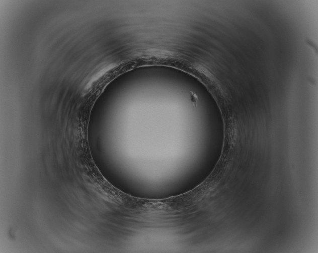 X0000101121112200807031757