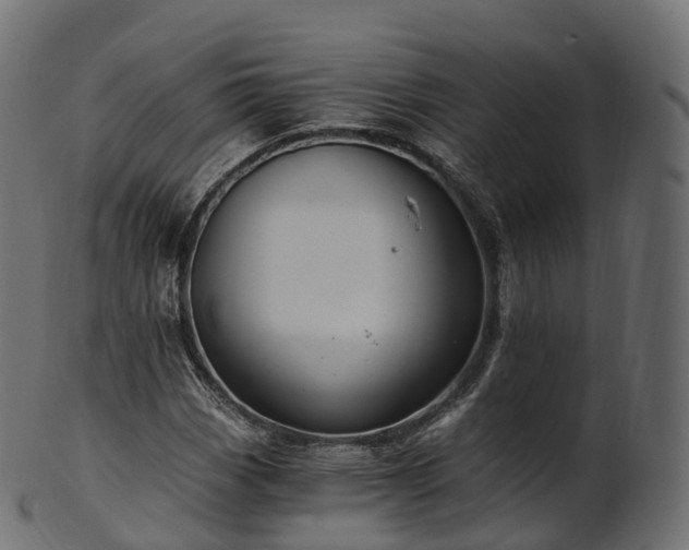 X0000101121113200807031757