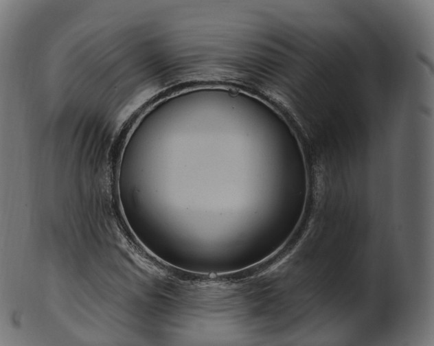X0000101121114200807031757