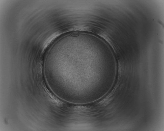 X0000101121115200807031757