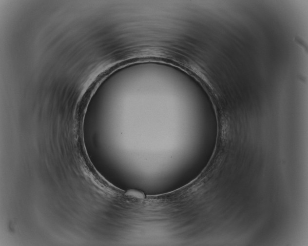 X0000101121116200807031757