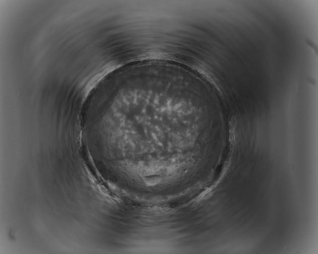 X0000101121117200807031757