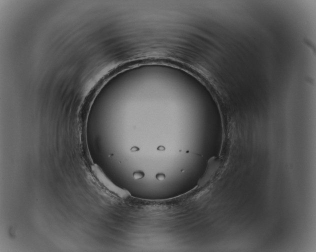 X0000101121118200807031757