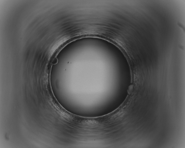 X0000101121119200807031757