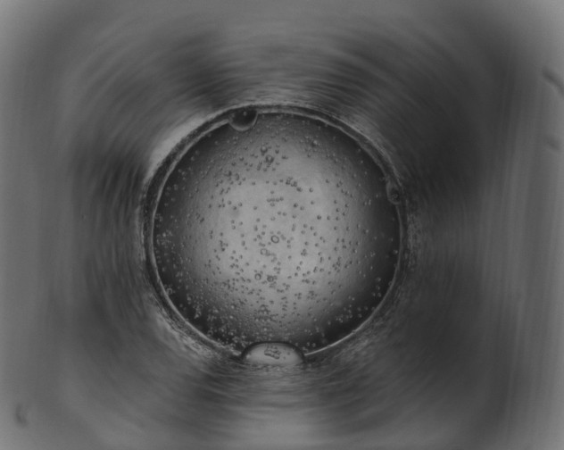 X0000101121120200807031757