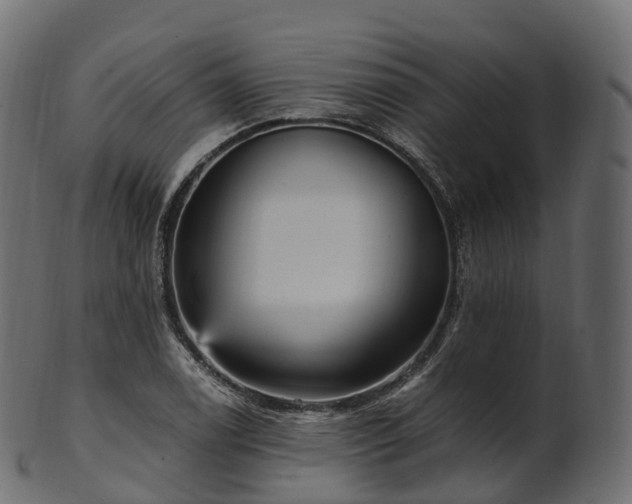 X0000101121122200807031757
