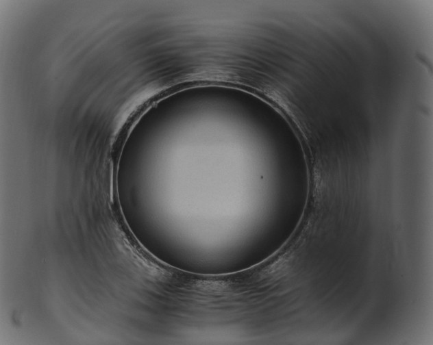 X0000101121123200807031757