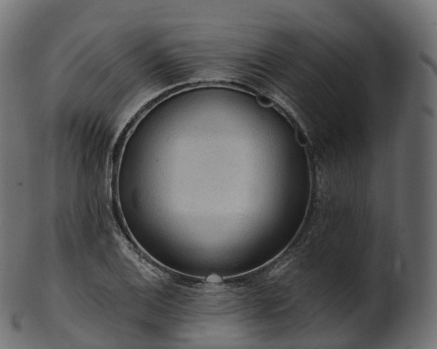 X0000101121124200807031757
