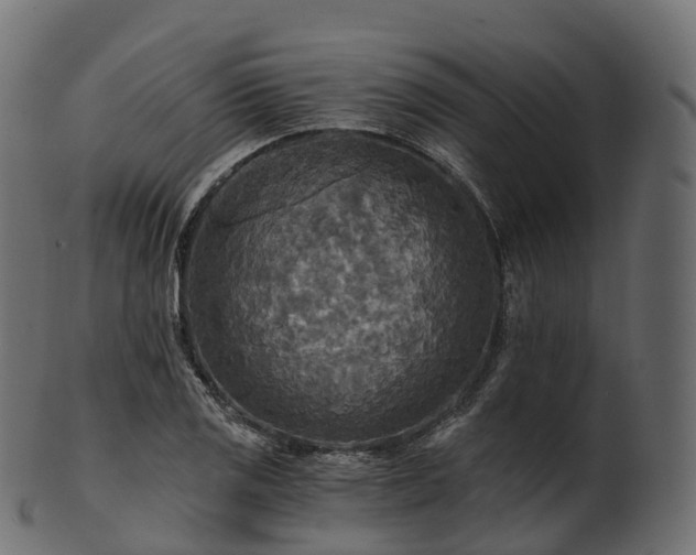 X0000101121125200807031757