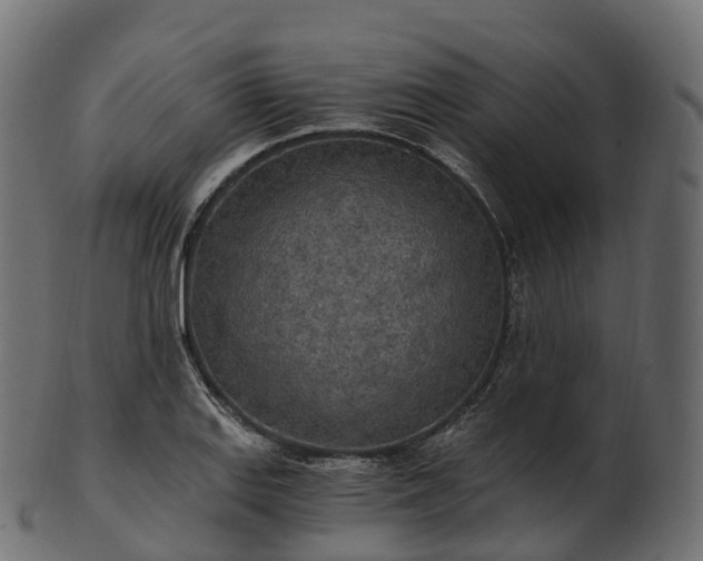 X0000101121127200807031757