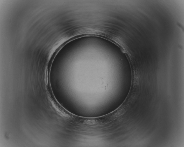 X0000101121128200807031757