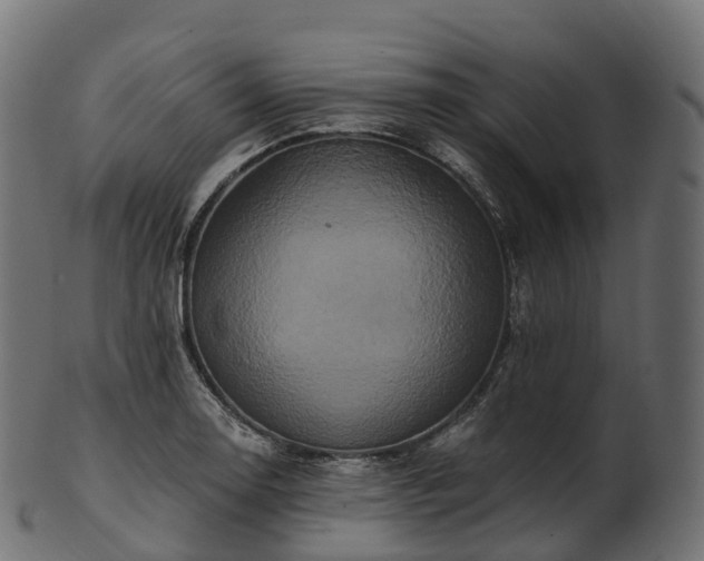 X0000101121130200807031757