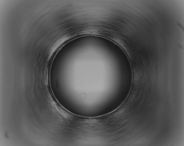 X0000101121131200807031757