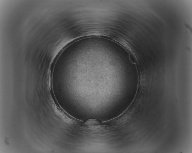 X0000101121132200807031757