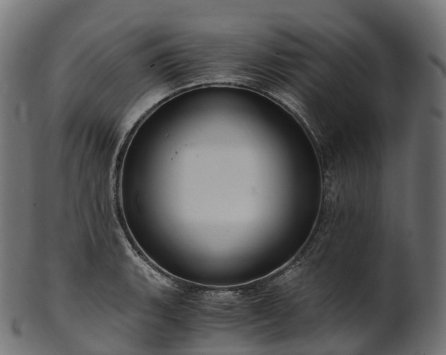 X0000101121135200807031757