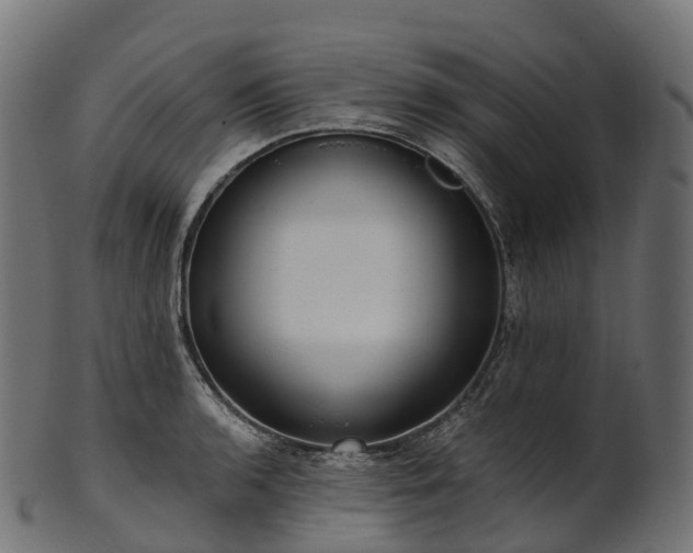 X0000101121136200807031757
