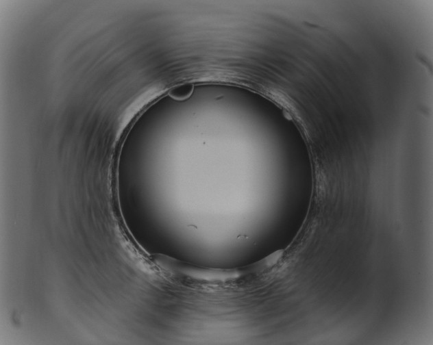 X0000101121138200807031757